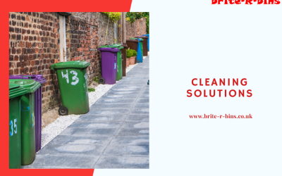 Why Should You Choose An Eco-Friendly Cleaning Company?